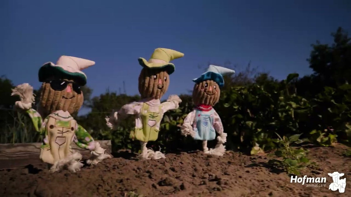 Garden Paws Scarecrow Indy Fields M