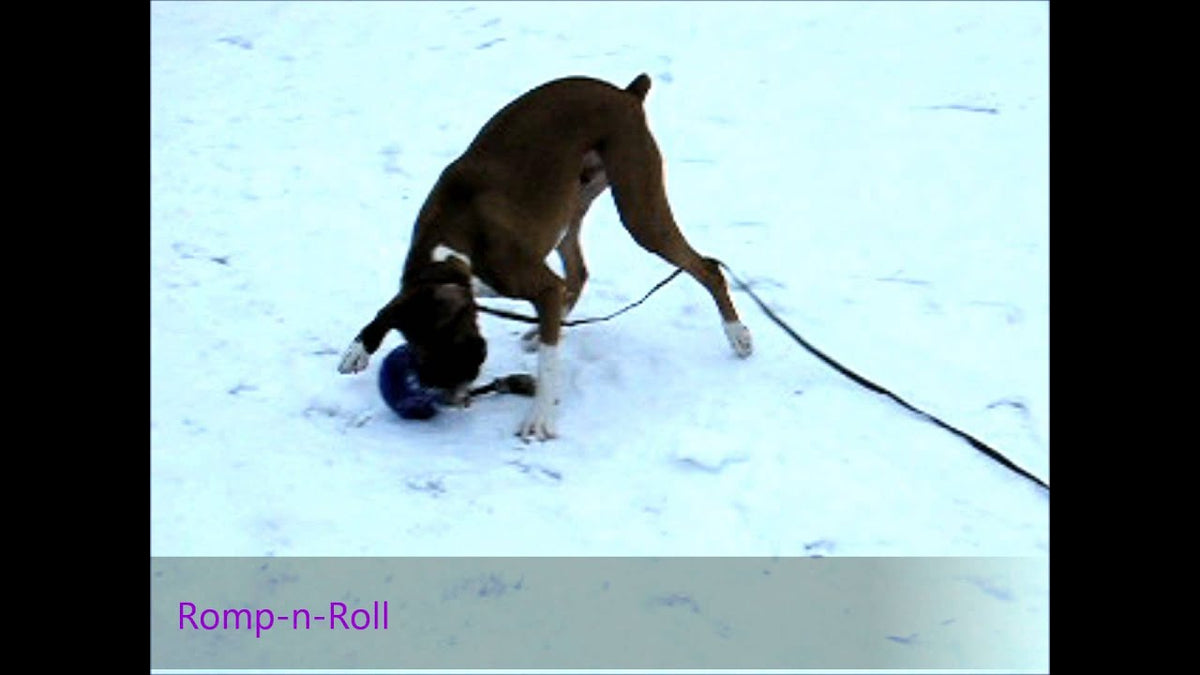 Jolly Romp-n-Roll Vanille L (20 cm)