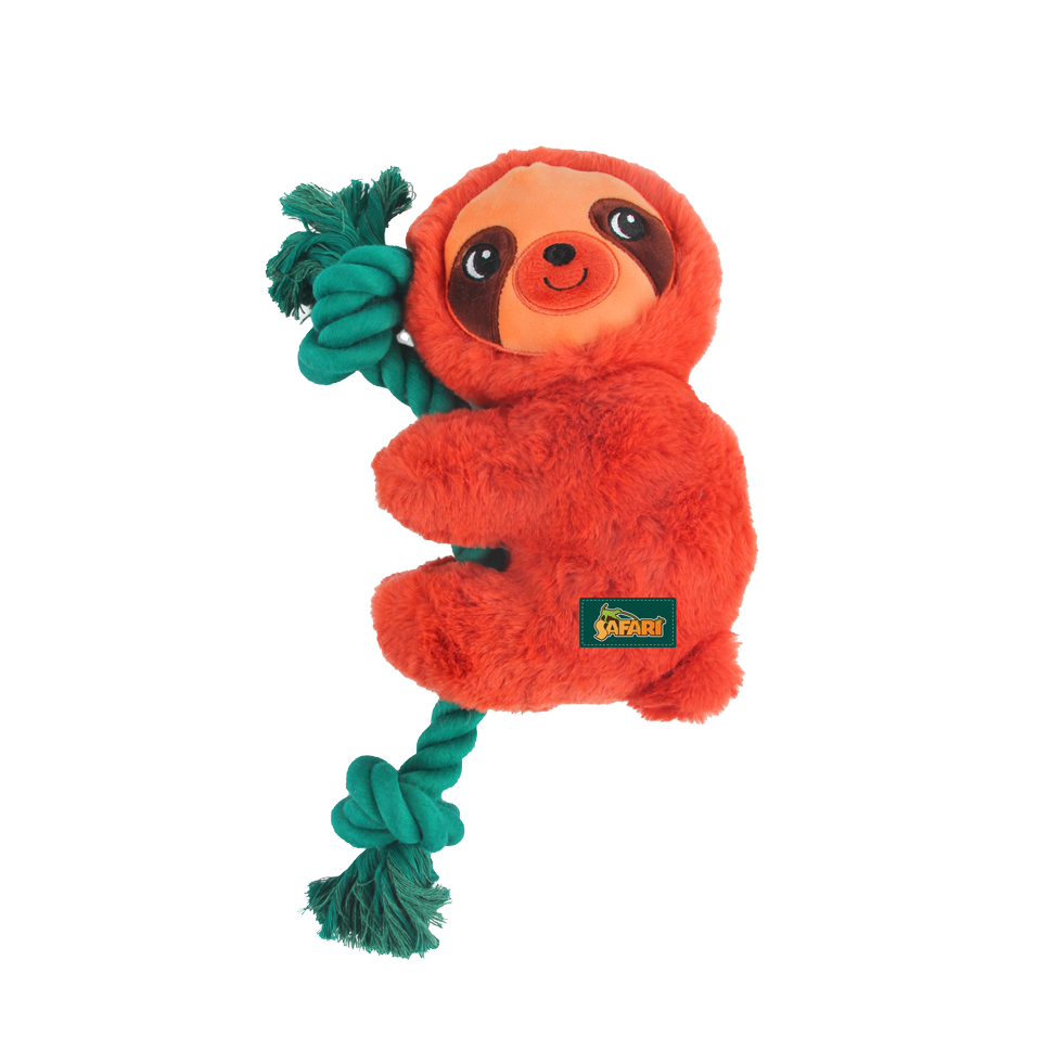 AFP Safari - Rope Cuddle Luiaard