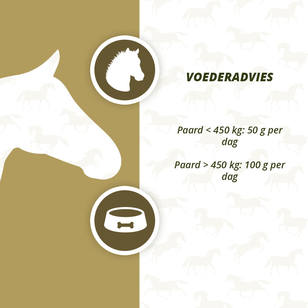 Excellent Horse Prebiotics 2,5 kg