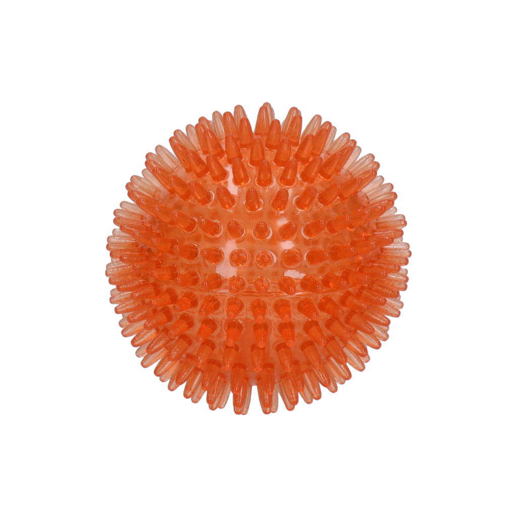 Dog Comets Exoplanet Egelbal M Oranje