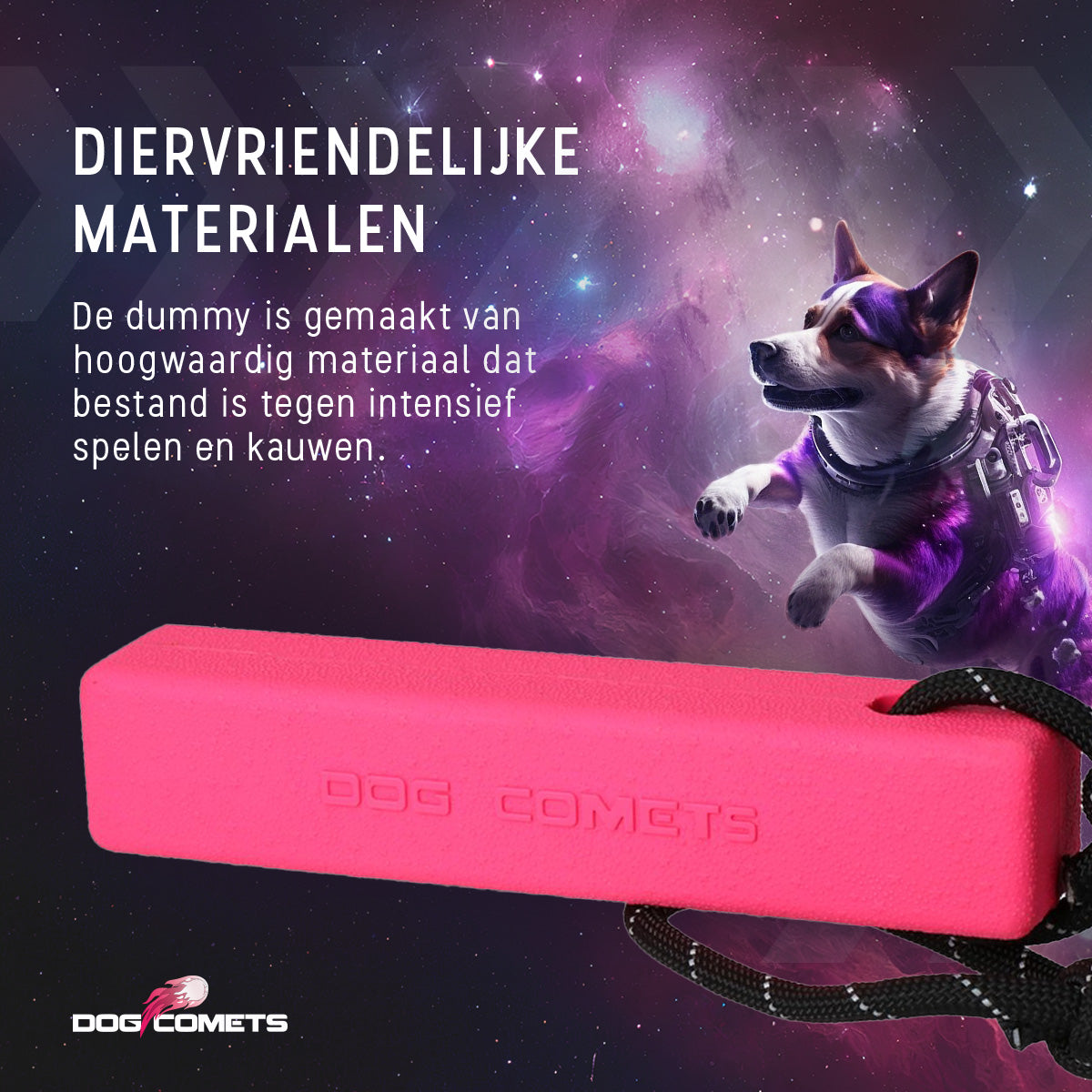 Dog Comets Orion Roze