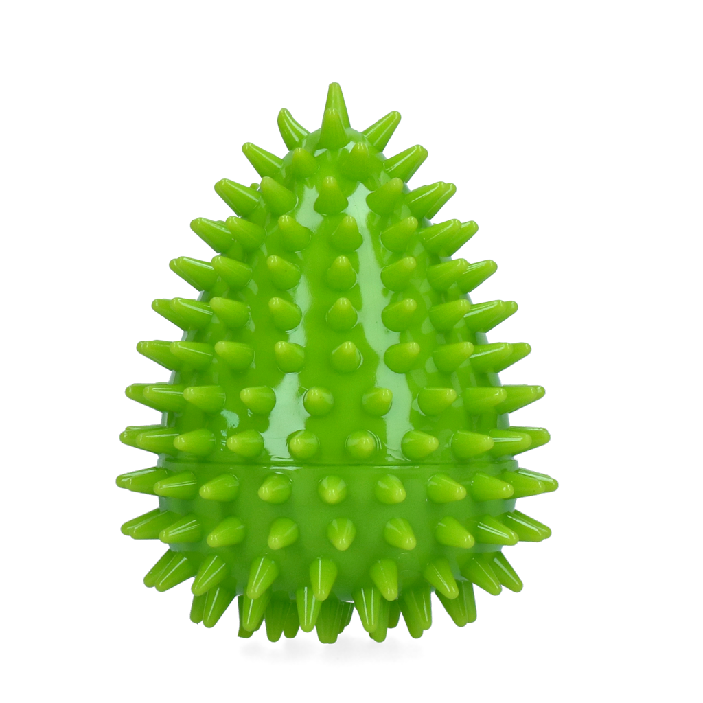 Dog Comets Cosmic Egg Groen M