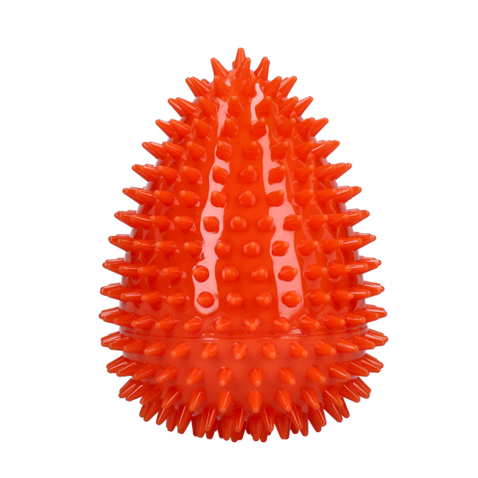 Dog Comets Cosmic Egg Oranje L