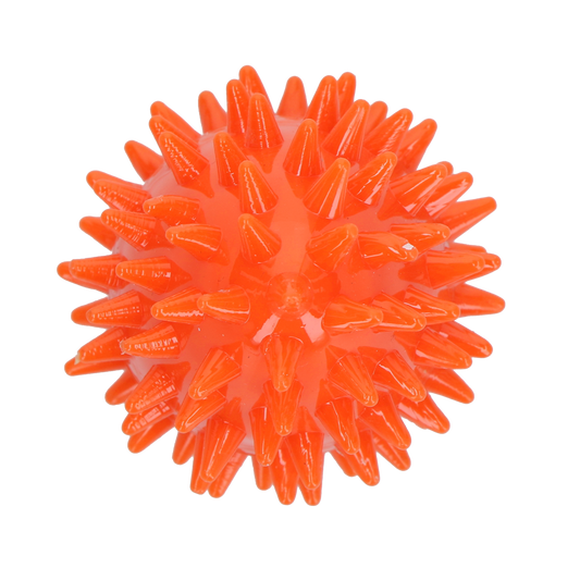 Dog Comets Cosmic Egg Oranje S