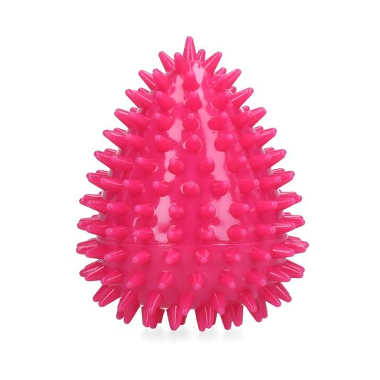 Dog Comets Cosmic Egg Roze M