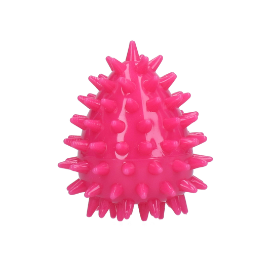 Dog Comets Cosmic Egg Roze S
