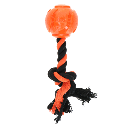 Dog Comets AstroTug Oranje