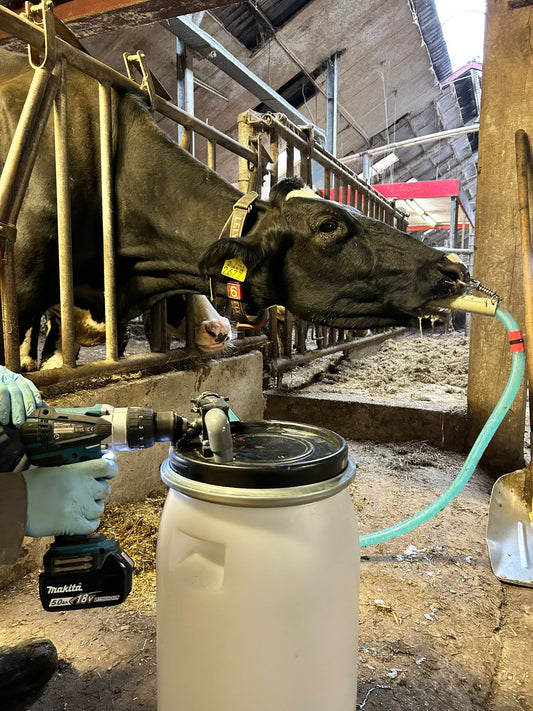 Excellent Cow Drencher Drill Driven