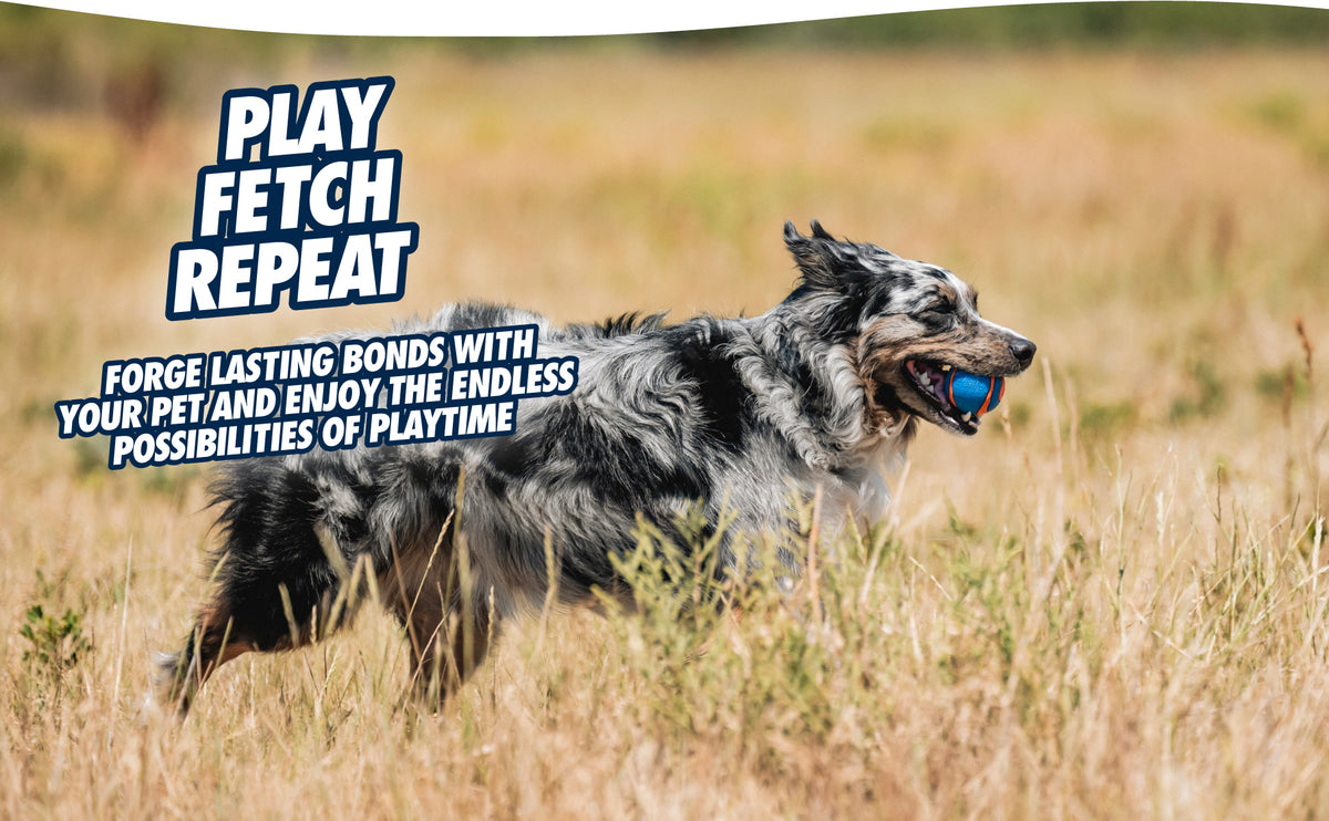Chuckit! Ultra Squeaker Ball S (2-pack)