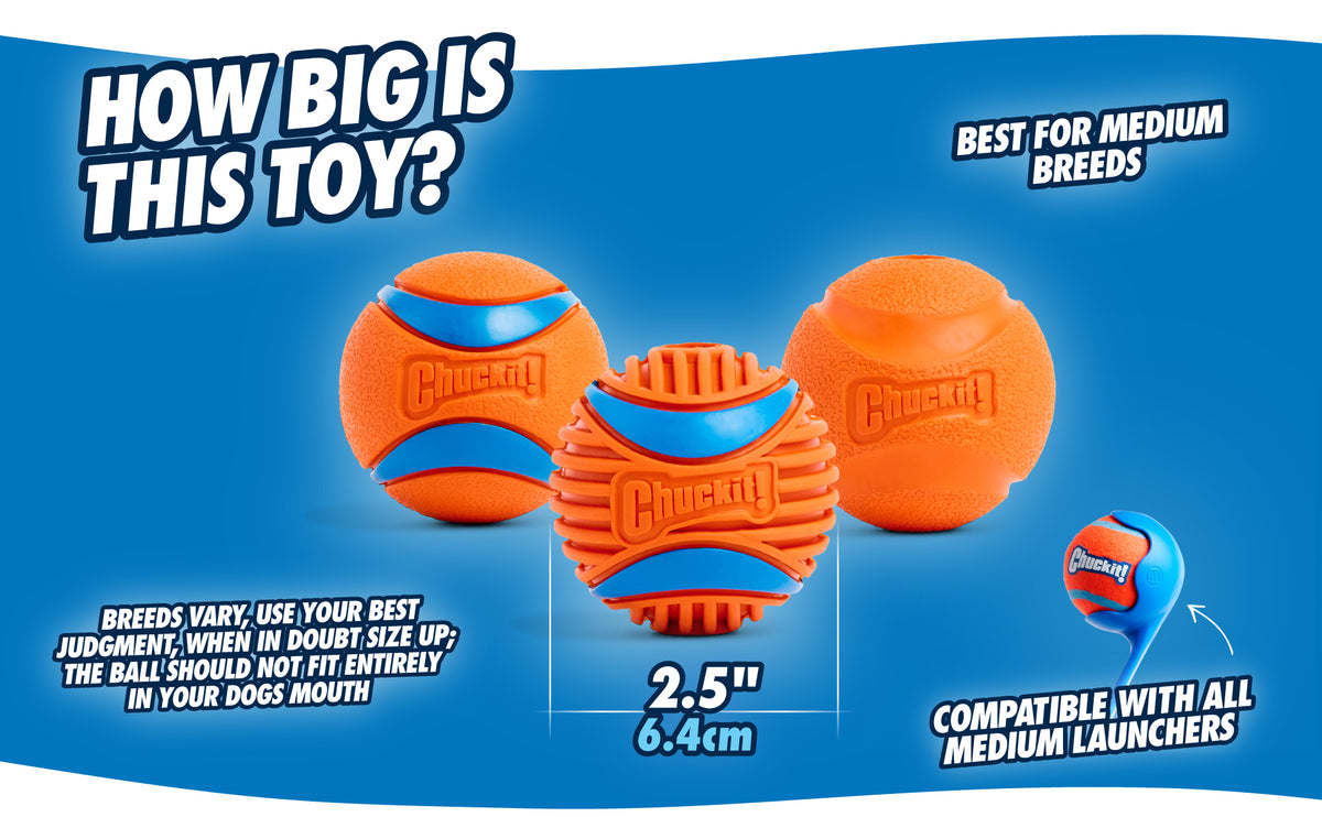 Chuckit! Fetch Ball S (2-pack)