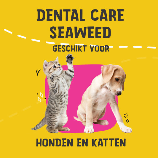 Dental Care Seaweed 75 g