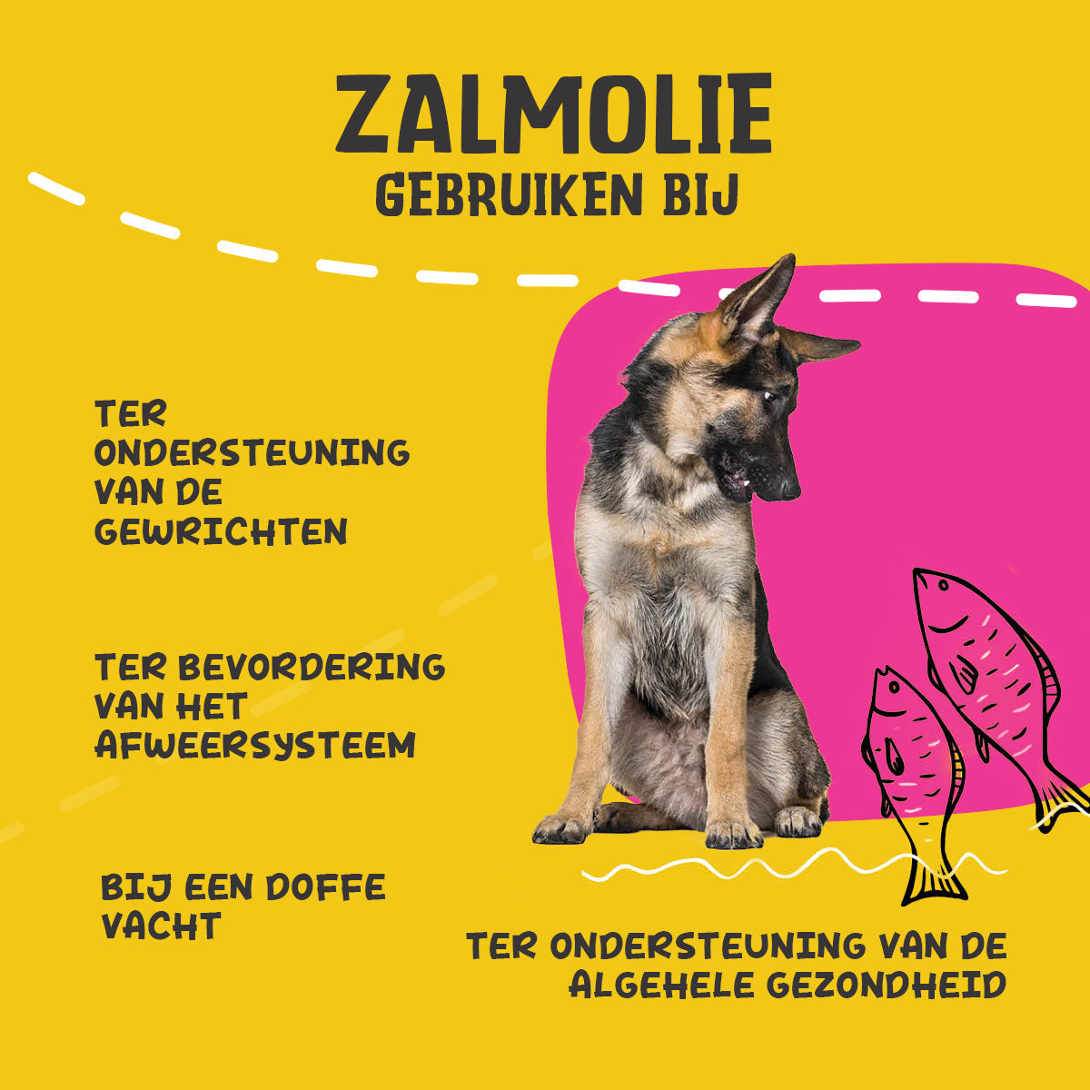 Excellent Pets Dog Salmon Oil 500 ml