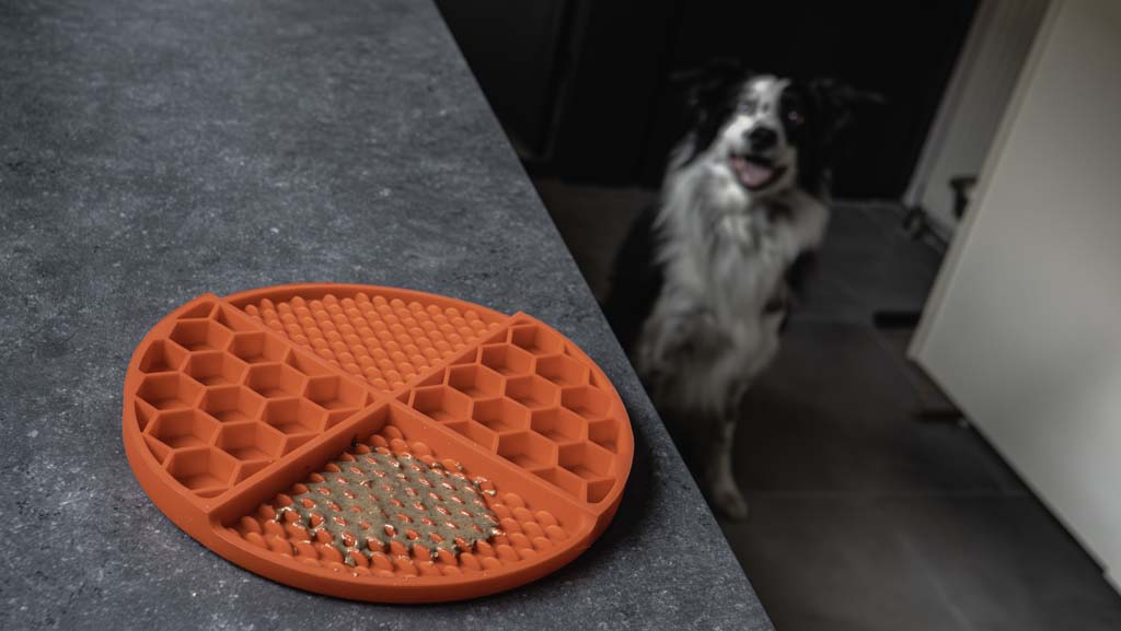 Eat Slow Live Longer Lick Mat Dimensions Circle Rood