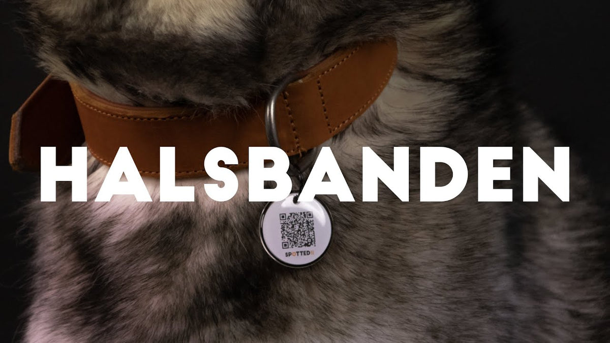 Spotted! Pro Leren Halsband 55 cm - Cognac