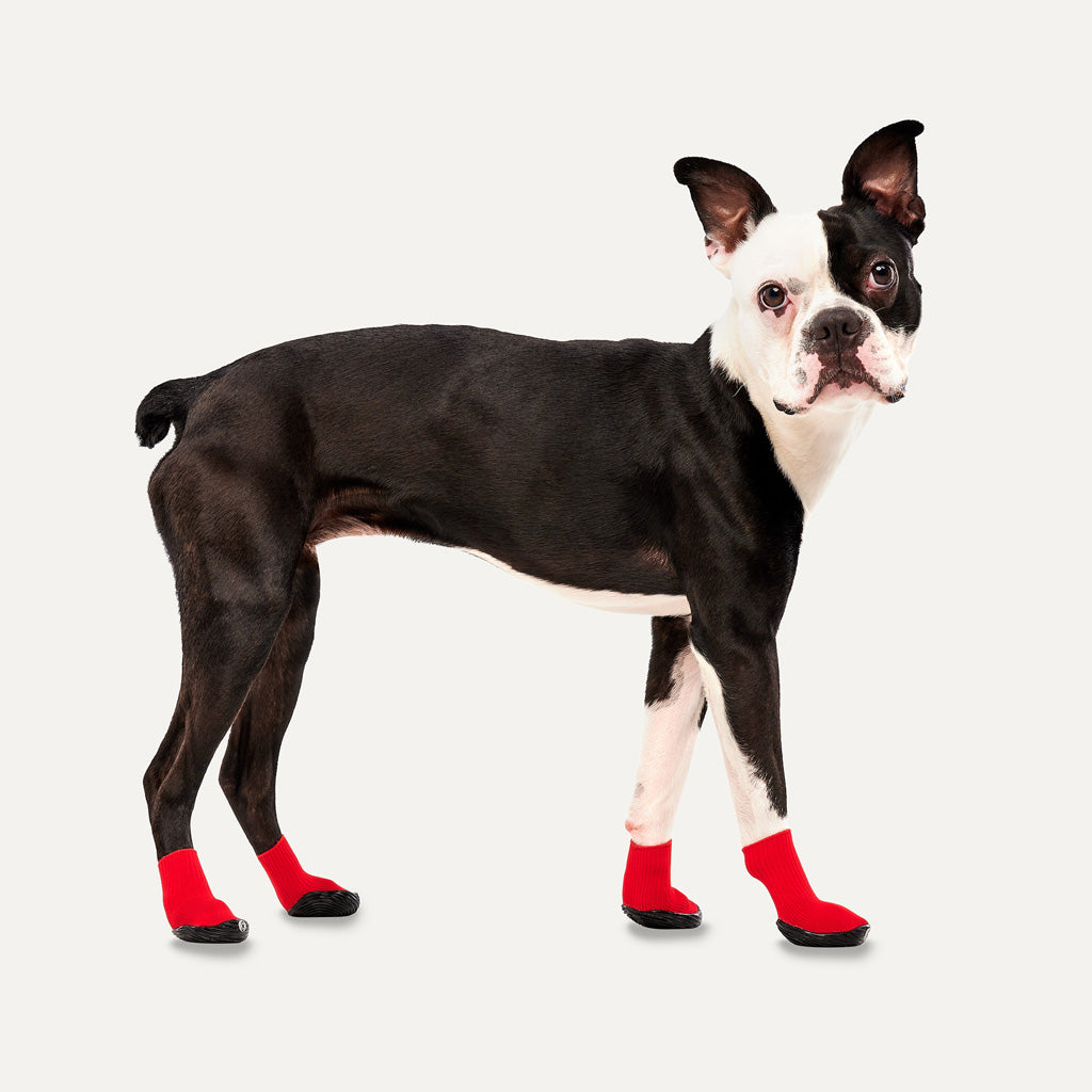 Goo-eez Dog Boots Lites 4 Per Pack XL Rood/Zwart