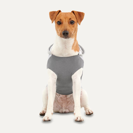 Goo-eez Kangaroo Fleece Hoodie XXL Grijs