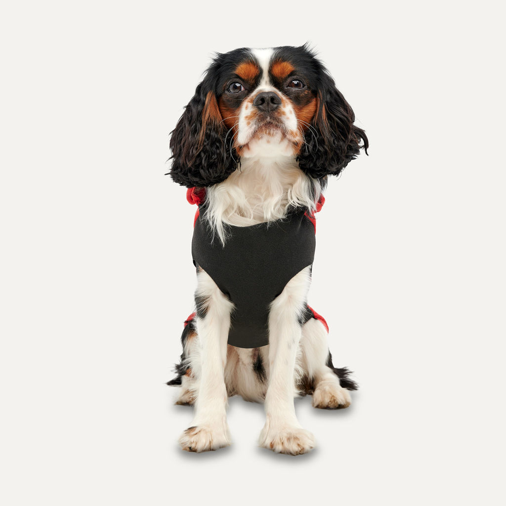 Goo-eez Kangaroo Fleece Hoodie XXL Rood/Zwart