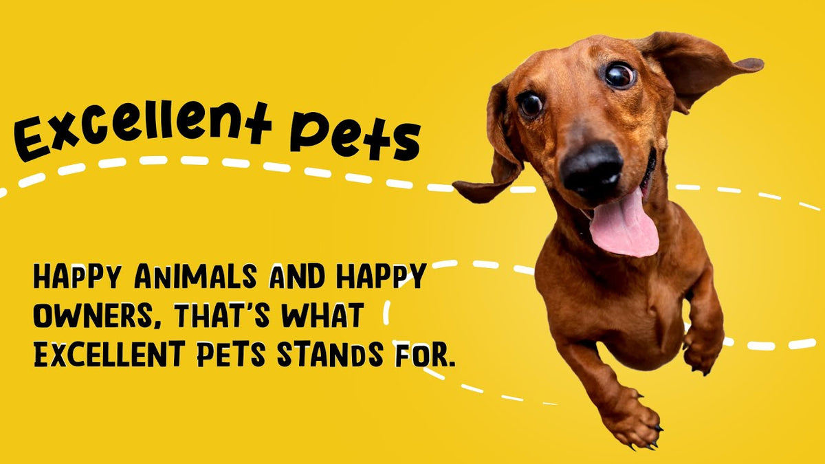 Excellent Pets Gland Guard Soft Chews 120 Treats