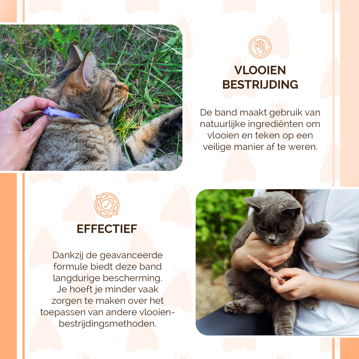 Knock Pest Vlooien/Tekenband Kat 33 cm NL/FR