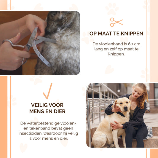 Knock Pest Vlooien/Tekenband Hond 59 cm DE/UK