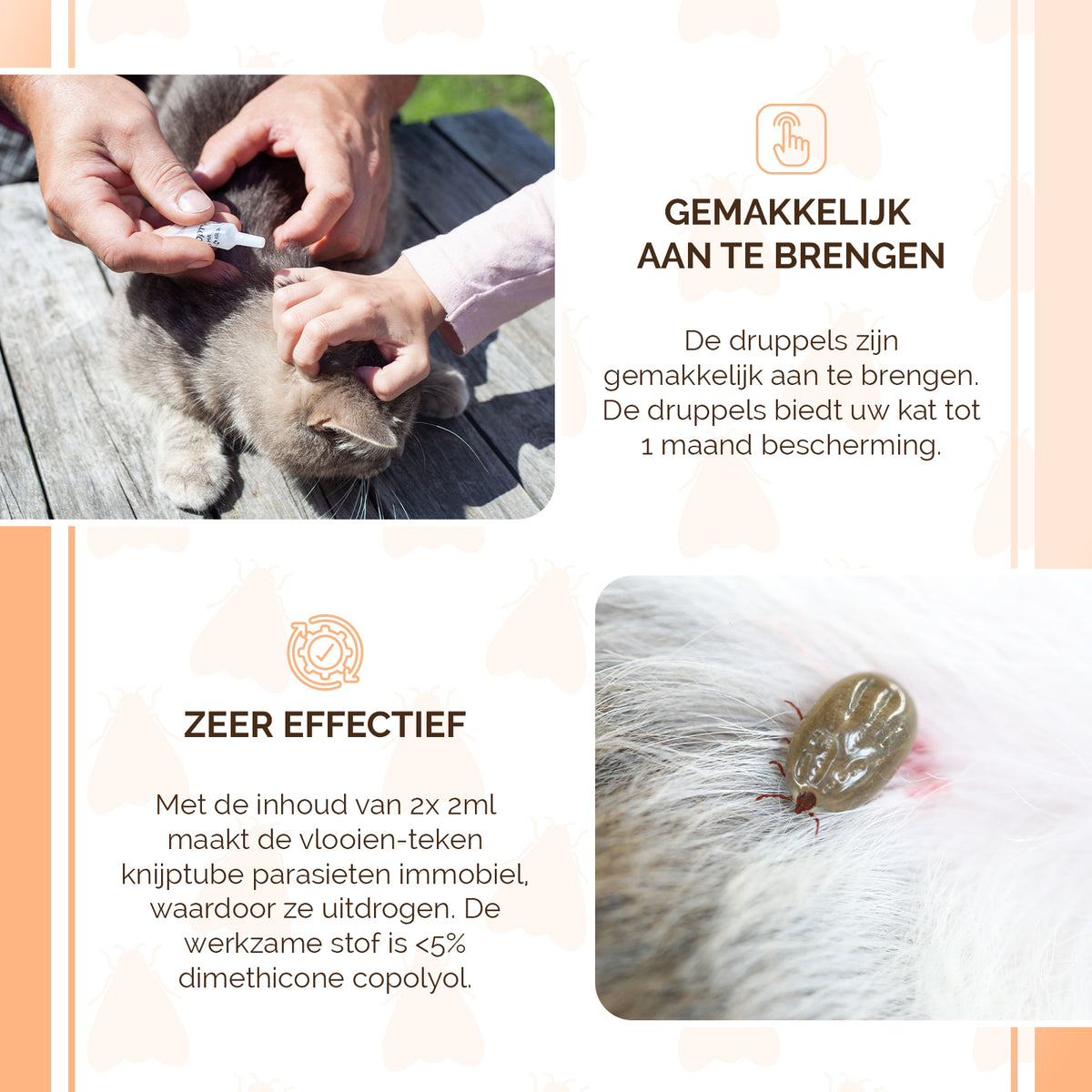 Knock Pest vlooien-tekenpipet Kat NL/FR