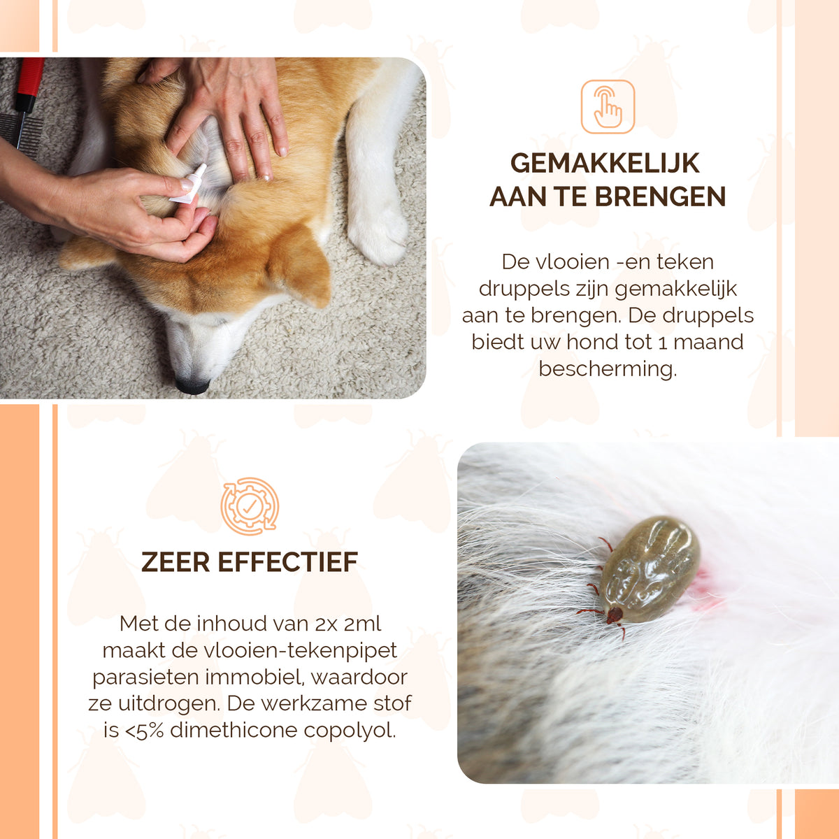Knock Pest vlooien-tekenpipet Hond <5 kg