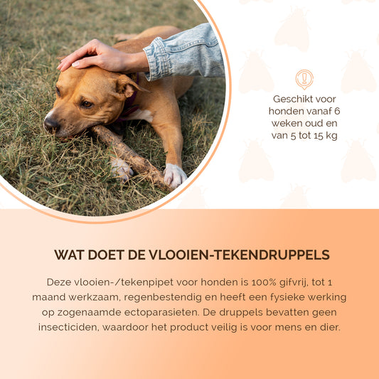 Knock Pest vlooien-tekenpipet Hond ≥ 5 kg