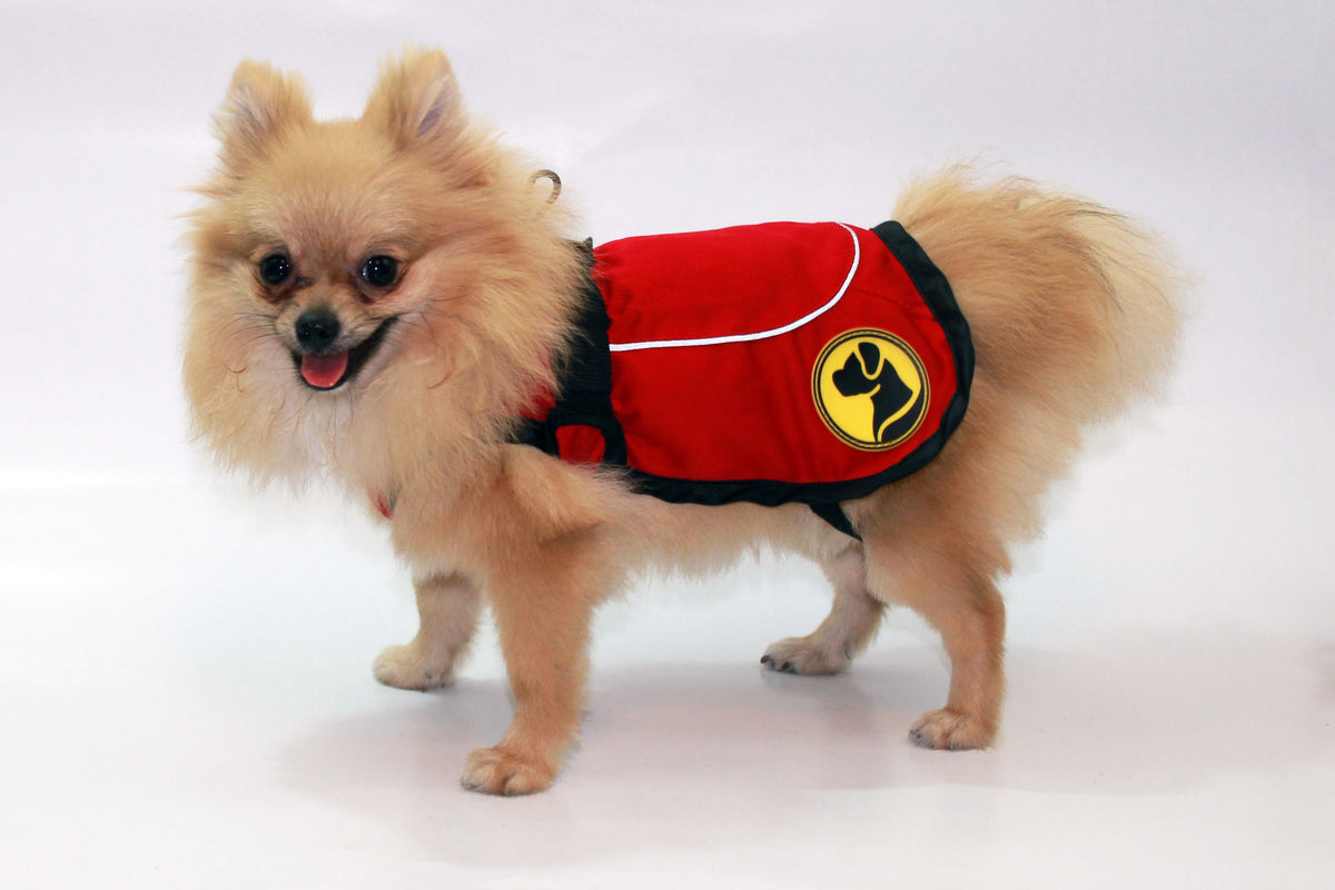 Dog Armor Knockdown Coat (Insect Shield) L (55cm ruglengte)