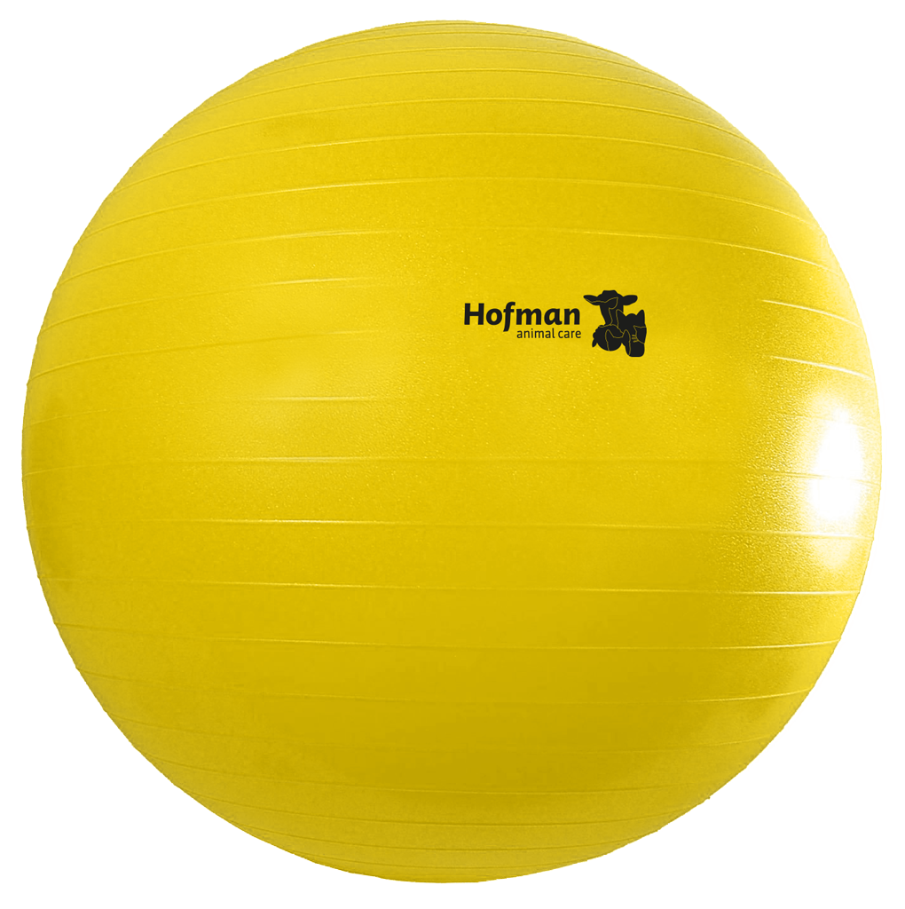 Maximus Power Play Ball 100 cm
