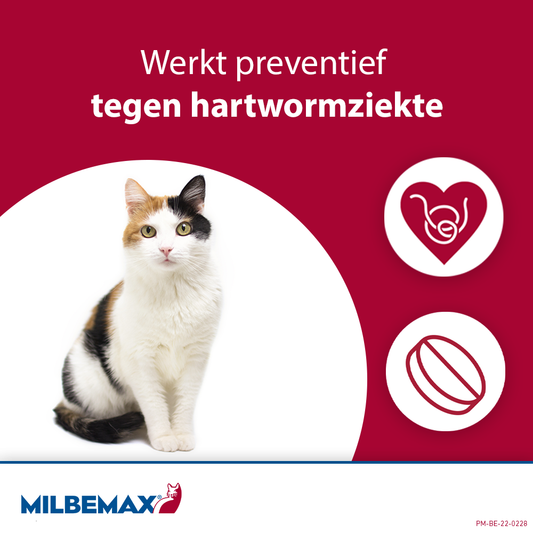 Milbemax Tabletten Kat Groot >2kg 2 tabl.