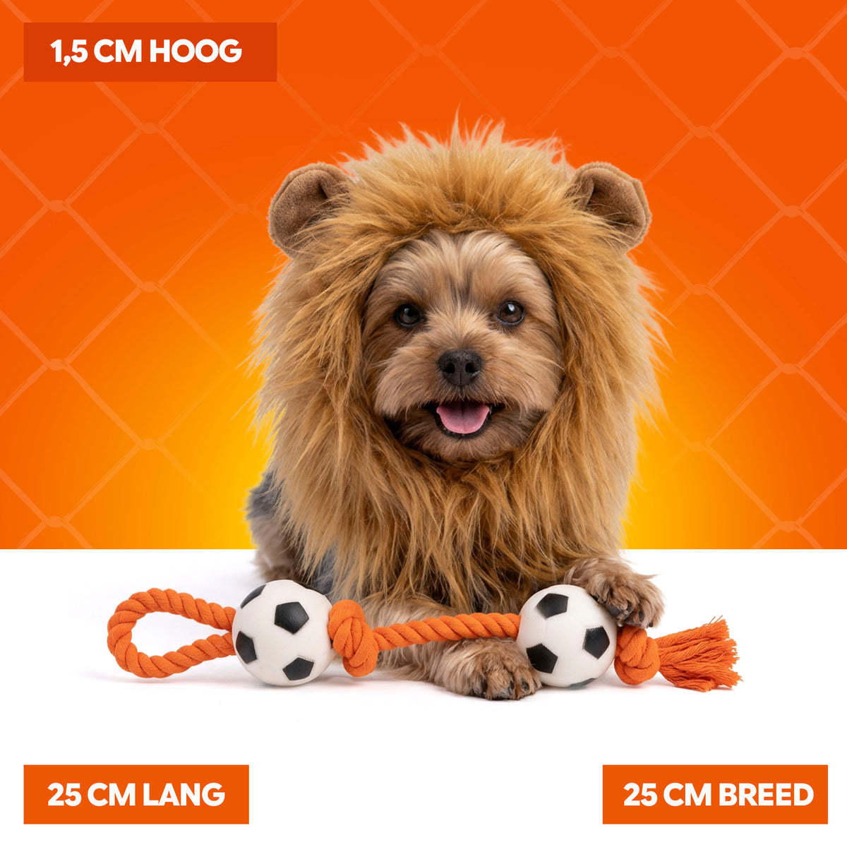 Oranje Manen Tooi S