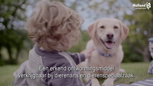 Milbemax Kauwtabletten Hond Groot Chewy 5-75kg 4 tabl.