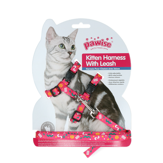 Pawise Kitten Harness With Leash Pink/Purple