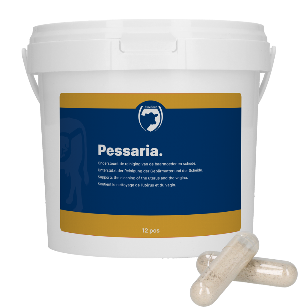 Excellent Pessaria Capsule 12 st