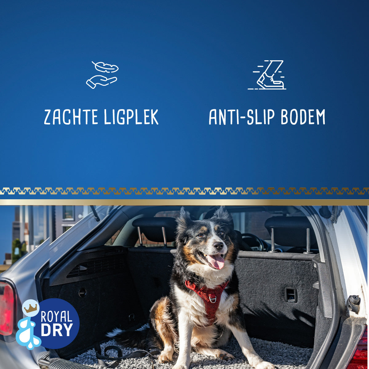 Royal Dry Knoeimat Voor Honden En Katten