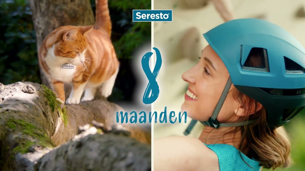 Seresto vlooien- en tekenband voor katten (1,25 g + 0,56 g)