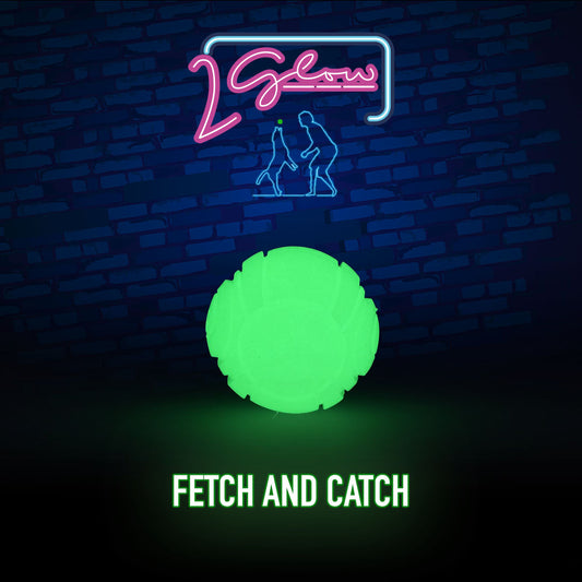 2 Glow Fetch & Play