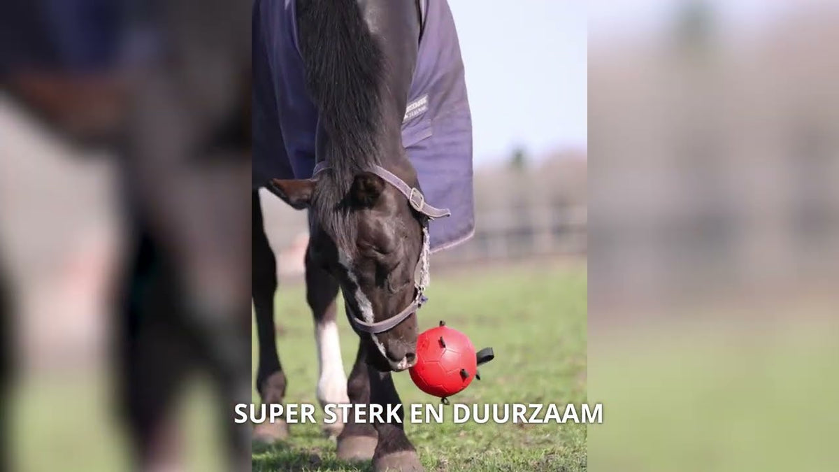 Excellent Horse Fun Play Ball Oranje