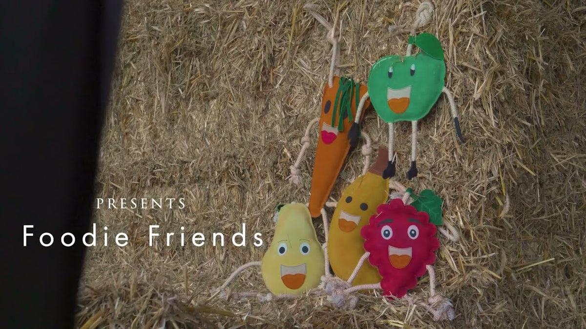 Excellent Horse Foodie Friends Watermelon