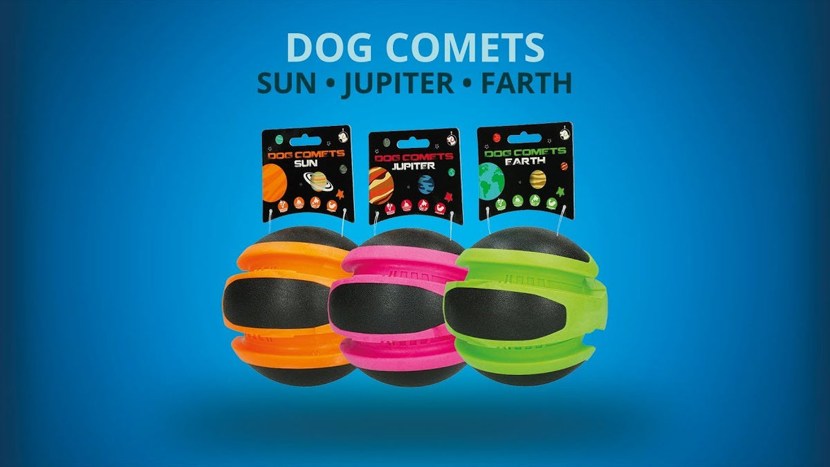 Dog Comets Planets Oranje