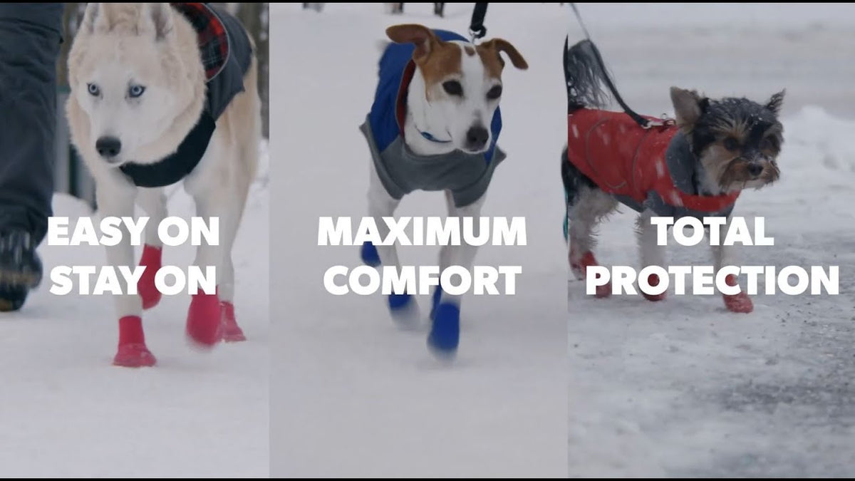 Goo-eez Dog Boots Lites 4 Per Pack L Rood/Zwart