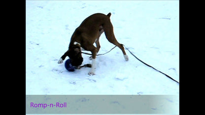 Jolly Romp-n-Roll Rood S (10 cm)