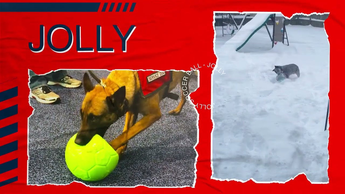Jolly Soccer Ball Groen L (20 cm)