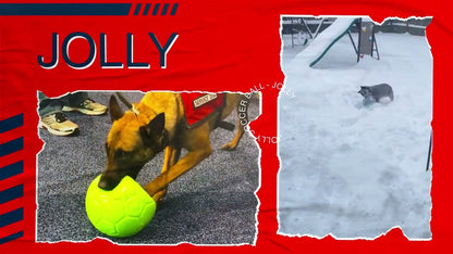 Jolly Soccer Ball Groen L (20 cm)
