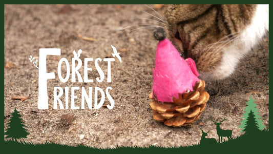 Forest Friends Mouse Rood