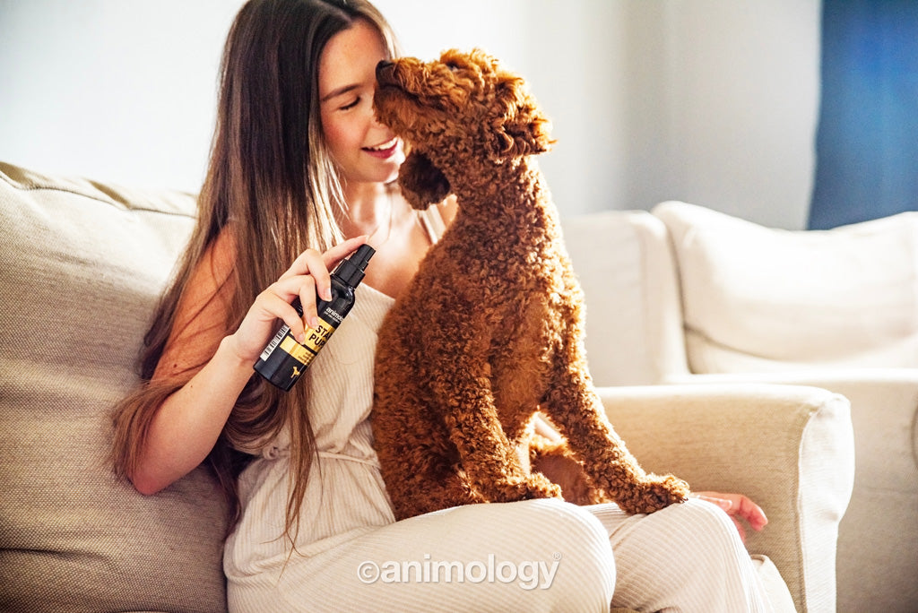 Animology Star Pups Body Mist 150 ml