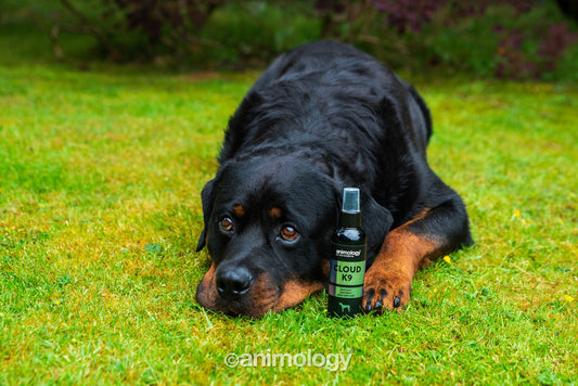 Animology Cloud K9 Body Mist 150 ml
