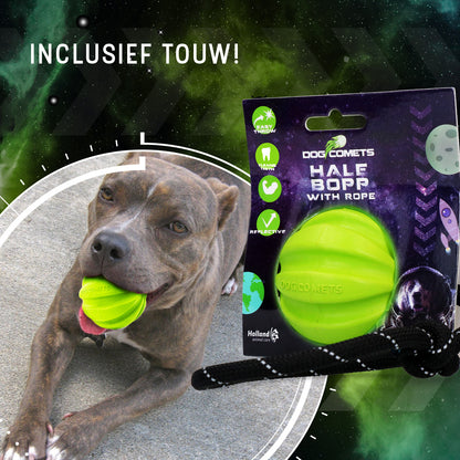 Dog Comets Hale Bopp Met Touw Groen
