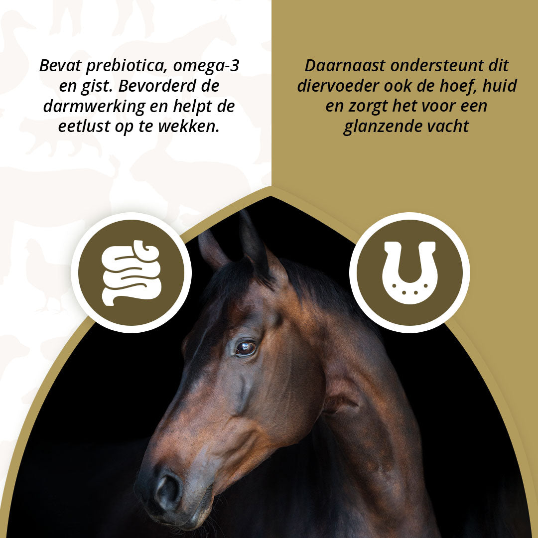 Excellent Horse Prebiotics 2,5 kg